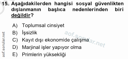 15. soru: Aşağıdakilerden hangisi sosyal güvenlikten dışlanmanın başlıca nedenlerinden biri değildir? A) Toplumsal cinsiyet B)…