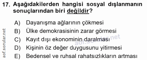 17. soru: Aşağıdakilerden hangisi sosyal dışlanmanın sonuçlarından biri değildir? A) Dayanışma ağlarının çokmesi B) Ülke demokr…