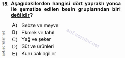 15. soru: Aşağıdakilerden hangisi dört yapraklı yonca ile şematize edilen besin gruplarından biri değildir? A) Sebze ve meyve B…