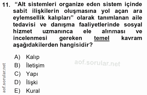 11. soru: "Alt sistemleri organize eden sistem içinde sabit ilişkilerin oluşmasına yol açan ara eylemsellik kalıpları" olarak t…