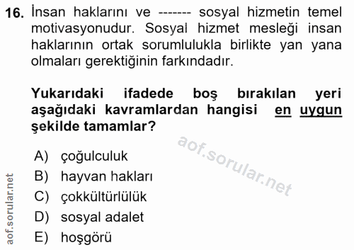 16. soru: İnsan haklarını ve -- sosyal hizmetin temel motivasyonudur. Sosyal hizmet mesleği insan haklarının ortak sorumlulukla…