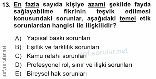 13. soru: En fazla sayıda kişiye azami şekilde fayda sağlayabilme fikrinin teşvik edilmesi konusundaki sorunlar, aşağıdaki teme…