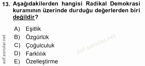 13. soru: Aşağıdakilerden hangisi Radikal Demokrasi kuramının üzerinde durduğu değerlerden biri değildir? A) Eşitlik B) Özgürlü…
