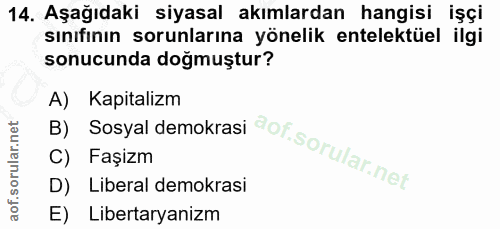 14. soru: Aşağıdaki siyasal akımlardan hangisi işçi sınıfının sorunlarına yönelik entelektüel ilgi sonucunda doğmuştur? B) Sosy…
