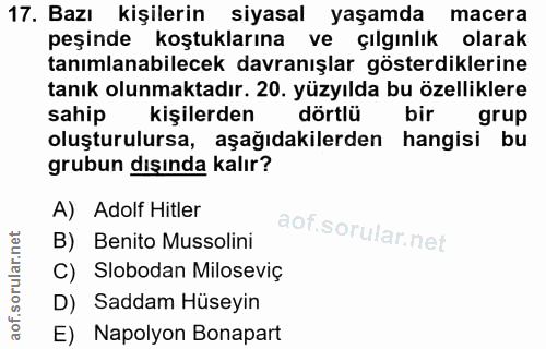 17. soru: Bazı kişilerin siyasal yaşamda macera peşinde koştuklarına ve çılgınlık olarak tanımlanabilecek davranışlar gösterdik…