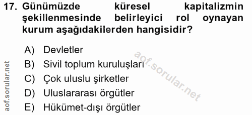 17. soru: Günümüzde küresel kapitalizmin şekillenmesinde belirleyici rol oynayan kurum aşağıdakilerden hangisidir? A) Devletler…