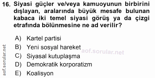 16. soru: Siyasi güçler ve/veya kamuoyunun birbirini dışlayan, aralarında büyük mesafe bulunan kabaca iki temel siyasi görüş ya…