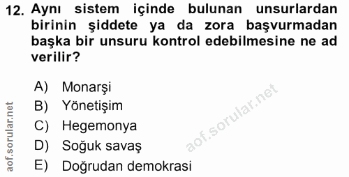 12. soru: Aynı sistem içinde bulunan unsurlardan birinin şiddete ya da zora başvurmadan başka bir unsuru kontrol edebilmesine n…