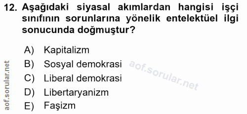 12. soru: Aşağıdaki siyasal akımlardan hangisi işçi sınıfının sorunlarına yönelik entelektüel ilgi sonucunda doğmuştur? A) Kapi…