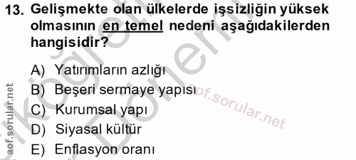 13. soru: Gelişmekte olan ülkelerde işsizliğin yüksek olmasının en temel nedeni aşağıdakilerden hangisidir? B) Beşeri sermaye y…