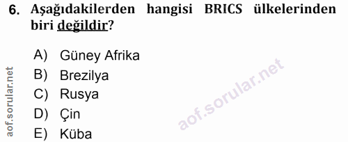 6. soru: Aşağıdakilerden hangisi BRICS ülkelerinden biri değildir? A) Güney Afrika B) Brezilya C) Rusya D) Çin E Küba