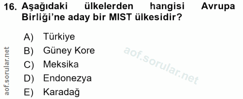 16. soru: Aşağıdaki ülkelerden hangisi Avrupa Birliği'ne aday bir MIST ülkesidir? A) Türkiye B) Güney Kore C) Meksika D) Endone…