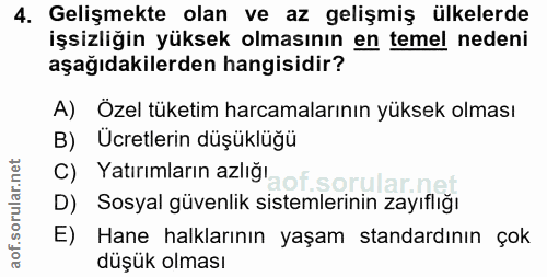 4. soru: Gelişmekte olan ve az gelişmiş ülkelerde işsizliğin yüksek olmasının en temel nedeni aşağıdakilerden hangisidir? A) Ö…