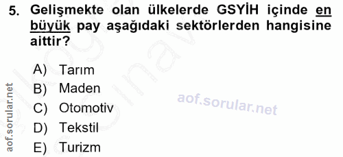 5. soru: Gelişmekte olan ülkelerde GSYIH içinde en büyük pay aşağıdaki sektörlerden hangisine aittir? A) Tarım B) Maden C) Oto…