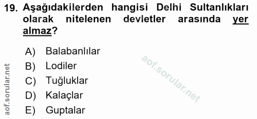 19. soru: Aşağıdakilerden hangisi Delhi Sultanlıkları olarak nitelenen devletler arasında • yer almaz? A) Balabanlılar B) Lodil…