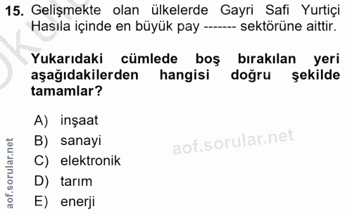 15. soru: Gelişmekte olan ülkelerde Gayri Safi Yurtiçi Hasıla içinde en büyük pay -- -- sektörüne aittir. Yukarıdaki cümlede bo…