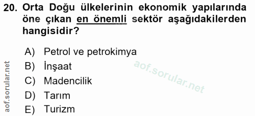 20. soru: Orta Doğu ülkelerinin ekonomik yapılarında öne çıkan en önemli sektör aşağıdakilerden hangisidir? A) Petrol ve petrok…