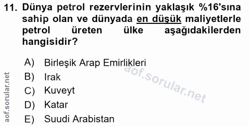 11. soru: Dünya petrol rezervlerinin yaklaşık %16'sına sahip olan ve dünyada en düşük maliyetlerle petrol üreten ülke aşağıdaki…
