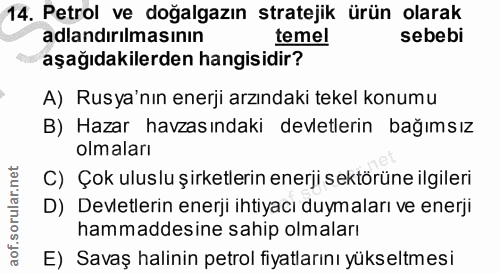 14. soru: Petrol ve doğalgazın stratejik ürün olarak adlandırılmasının temel sebebi aşağıdakilerden hangisidir? A) Rusya'nın en…