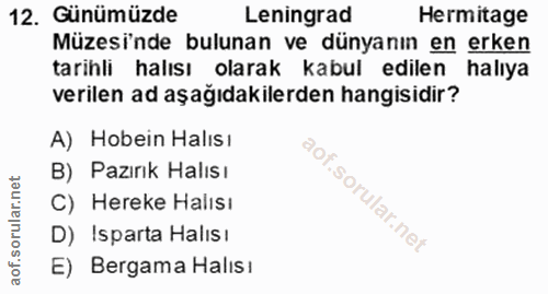 12. soru: Günümüzde Leningrad Hermitage Müzesi'nde bulunan ve dünyanın en erken tarihli halısı olarak kabul edilen halıya veril…