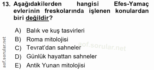 13. soru: Aşağıdakilerden hangisi Efes-Yamaç evlerinin freskolarında işlenen konulardan biri değildir? A) Balık ve kuş tasvirle…