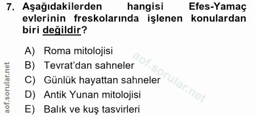 7. soru: Aşağıdakilerden hangisi Efes-Yamaç evlerinin freskolarında işlenen konulardan biri değildir? A) Roma mitolojisi B) Te…