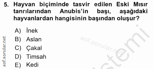 5. soru: Hayvan biçiminde tasvir edilen Eski Mısır tanrılarından Anubis'in başı, aşağıdaki hayvanlardan hangisinin başından ol…