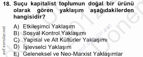 18. soru: Suçu kapitalist toplumun doğal bir ürünü olarak gören yaklaşım aşağıdakilerden hangisidir? A) Etkileşimci Yaklaşım B)…