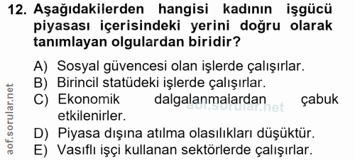 12. soru: Aşağıdakilerden hangisi kadının işgücü piyasası içerisindeki yerini doğru olarak tanımlayan olgulardan biridir? A) So…