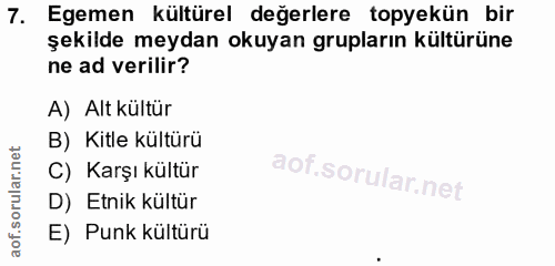 7. soru: Egemen kültürel değerlere topyekün bir şekilde meydan okuyan grupların kültürüne ne ad verilir? A) Alt kültür B) Kitl…