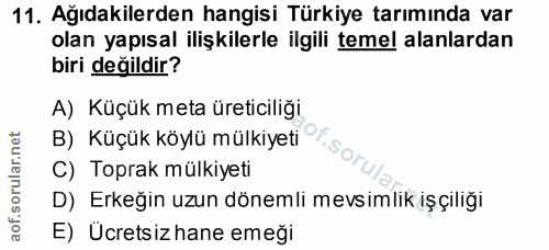 11. soru: Ağıdakilerden hangisi Türkiye tarımında var olan yapısal ilişkilerle ilgili temel alanlardan biri değildir? A) Küçük…