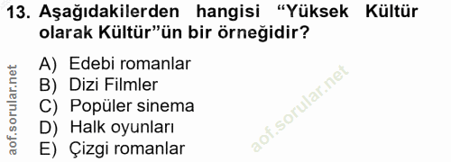 13. soru: Aşağıdakilerden hangisi "Yüksek Kültür olarak Kültür"ün bir örneğidir? A) Edebi romanlar B) Dizi Filmler C) Popüler s…