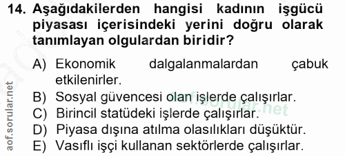 14. soru: Aşağıdakilerden hangisi kadının işgücü piyasası içerisindeki yerini doğru olarak tanımlayan olgulardan biridir? A) Ek…