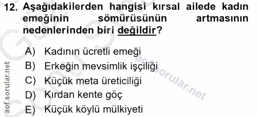 12. soru: Aşağıdakilerden hangisi kırsal ailede kadın emeğinin sömürüsünün artmasının nedenlerinden biri değildir? A) Kadının ü…