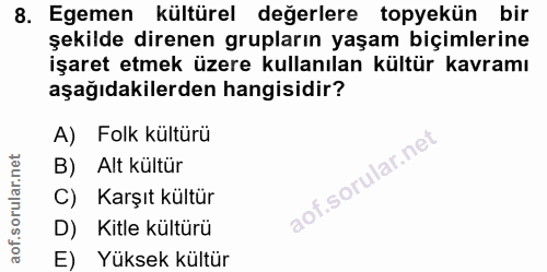 8. soru: Egemen kültürel değerlere topyekün bir şekilde direnen grupların yaşam biçimlerine işaret etmek üzere kullanılan kült…