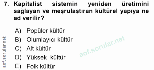 7. soru: Kapitalist sistemin yeniden üretimini sağlayan ve meşrulaştıran kültürel yapıya ne ad verilir? A) Popüler kültür B) O…
