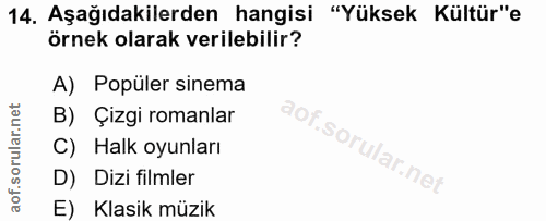 14. soru: Aşağıdakilerden hangisi "Yüksek Kültür"e örnek olarak verilebilir? A) Popüler sinema B) Çizgi romanlar C) Halk oyunla…