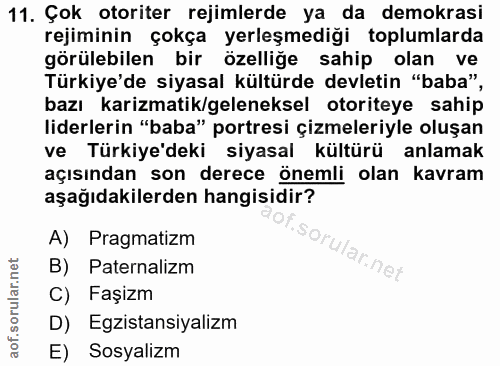 11. soru: Çok otoriter rejimlerde ya da demokrasi rejiminin çokça yerleşmediği toplumlarda görülebilen bir özelliğe sahip olan…