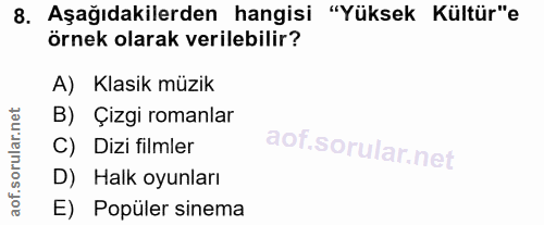 8. soru: Aşağıdakilerden hangisi "Yüksek Kültür"e örnek olarak verilebilir? A) Klasik müzik B) Çizgi romanlar C) Dizi filmler…