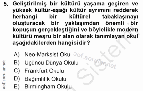 5. soru: Geliştirilmiş bir kültürü yaşama geçiren ve yüksek kültür-aşağı kültür ayrımını redderek herhangi bir kültürel tabakl…