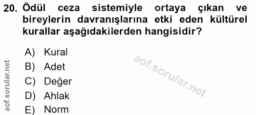 20. soru: Ödül ceza sistemiyle ortaya çıkan ve bireylerin davranışlarına etki eden kültürel kurallar aşağıdakilerden hangisidir…