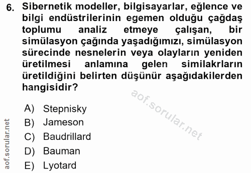 6. soru: Sibernetik modeller, bilgisayarlar, eğlence ve bilgi endüstrilerinin egemen olduğu çağdaş toplumu analiz etmeye çalış…