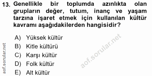 13. soru: Genellikle bir toplumda azınlıkta olan grupların değer, tutum, inanç ve yaşam tarzına işaret etmek için kullanılan kü…
