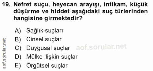 19. soru: Nefret suçu, heyecan arayışı, intikam, küçük düşürme ve hiddet aşağıdaki suç türlerinden hangisine girmektedir? A) Sa…