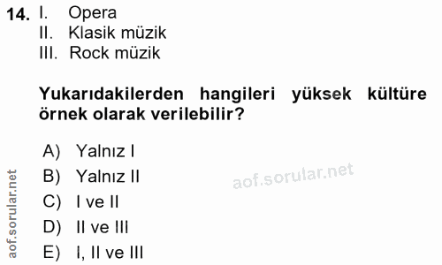 14. soru: 1. Opera II. Klasik müzik III. Rock müzik Yukarıdakilerden hangileri yüksek kültüre örnek olarak verilebilir? A) Yaln…