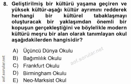 8. soru: Geliştirilmiş bir kültürü yaşama geçiren ve yüksek kültür-aşağı kültür ayrımını redderek herhangi bir kültürel tabakl…