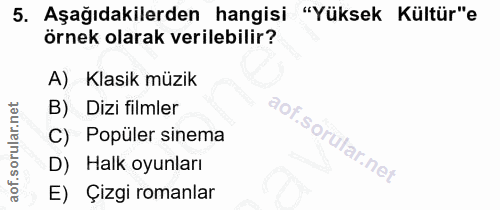 5. soru: Aşağıdakilerden hangisi "Yüksek Kültür"e örnek olarak verilebilir? A) Klasik müzik B) Dizi filmler C) Popüler sinema…