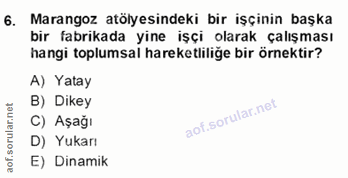 6. soru: Marangoz atölyesindeki bir işçinin başka bir fabrikada yine işçi olarak çalışması hangi toplumsal hareketliliğe bir ö…
