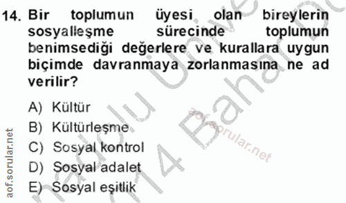 14. soru: Bir toplumun üyesi. olan bireylerin sosyalieşme sürecinde toplumun benimsediği değerlere ve kurallara uygun biçimde d…