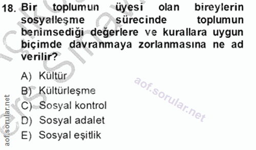 18. soru: Bir toplumun üyesi olan bireylerin sosyalleşme sürecinde toplumun benimsedigi değerlere ve kurallara uygun biçimde da…